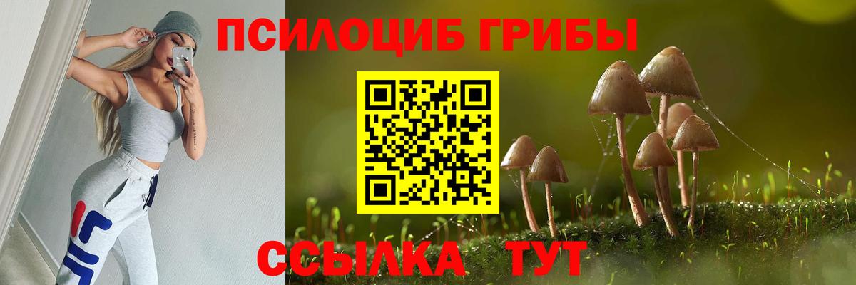 Галлюциногенные грибы MAGIC MUSHROOMS  Вход с VPN  Галлюциногенные грибы MAGIC MUSHROOMS  Клинцы 